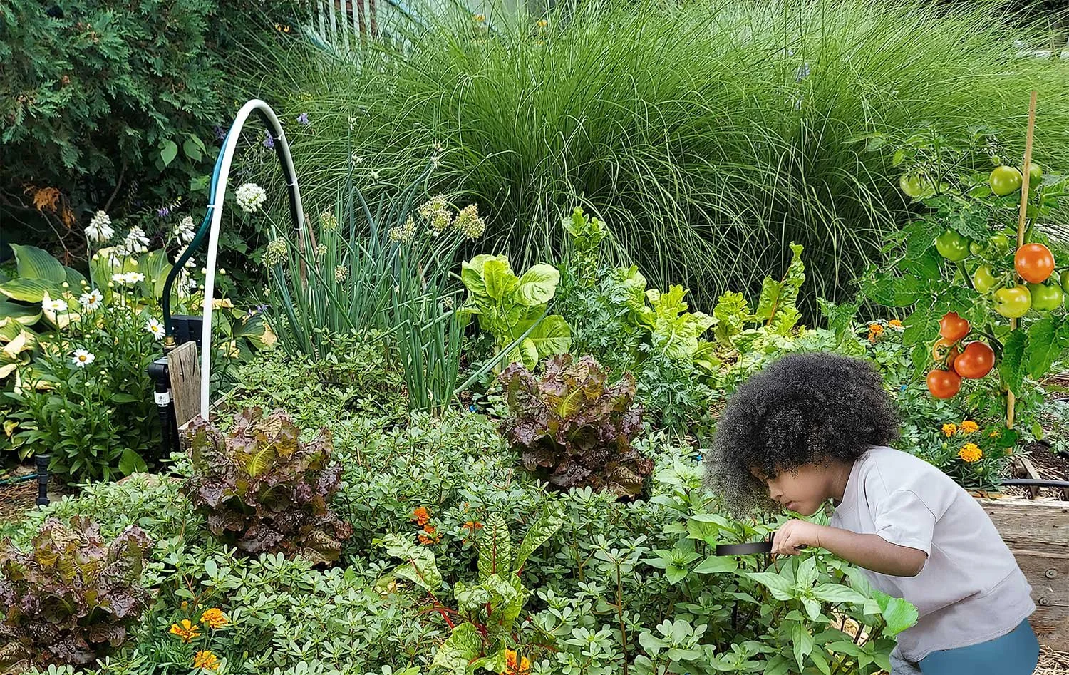 Transformational Gardening Basics — Deep Roots Project